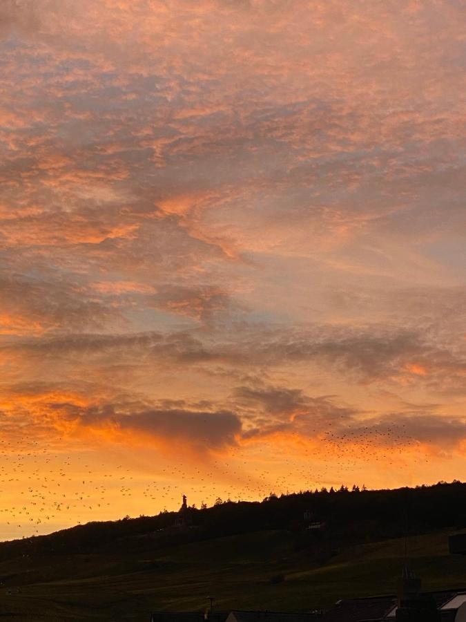 Schlafen Ueber Der Whiskybar Daire Rüdesheim am Rhein Dış mekan fotoğraf